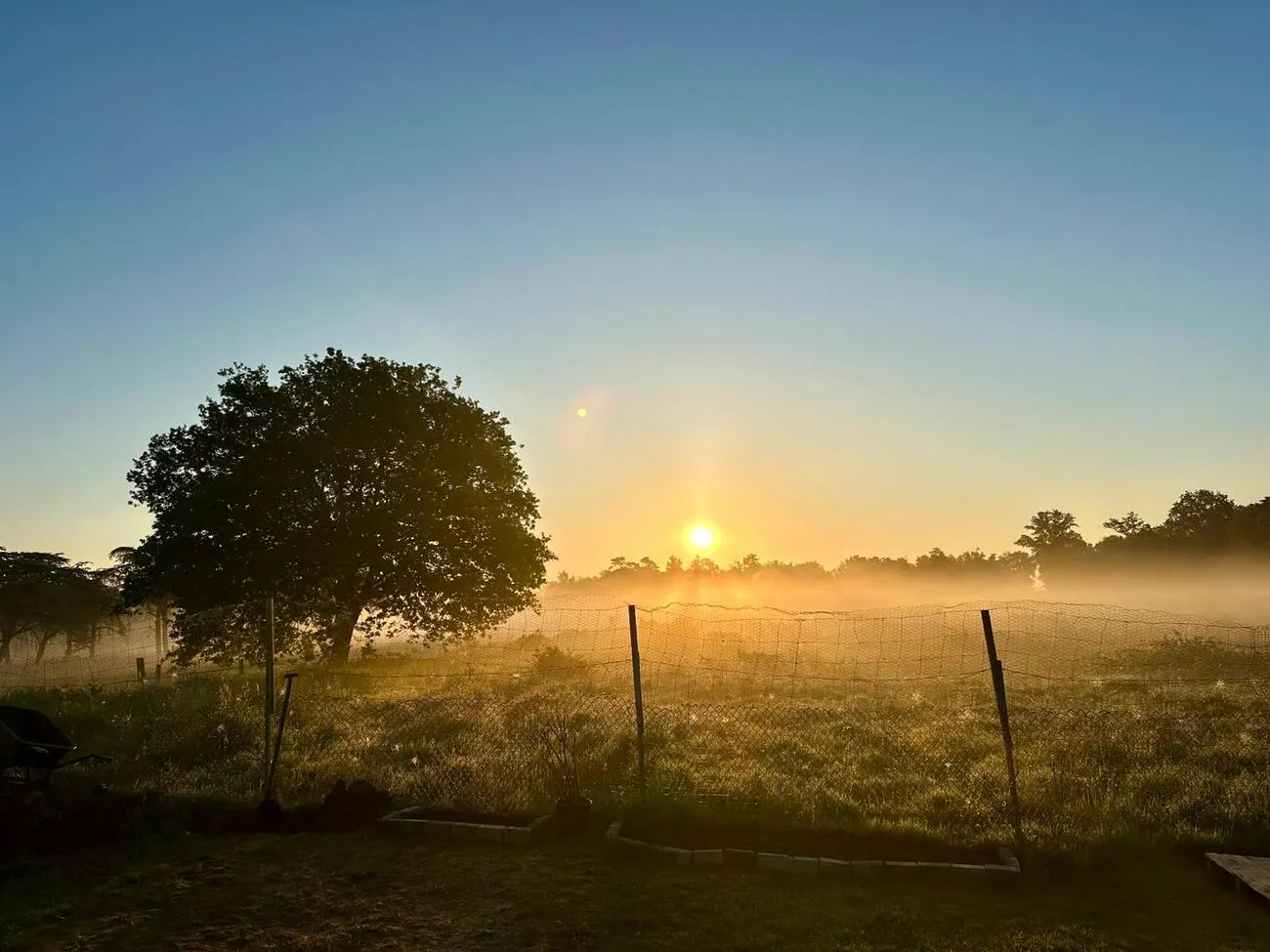 Tierheilpraxis Am Moor - Tierheilpraktikerin, Aromaberaterin, Hundepension - Sonnenuntergang auf dem Bauernhof