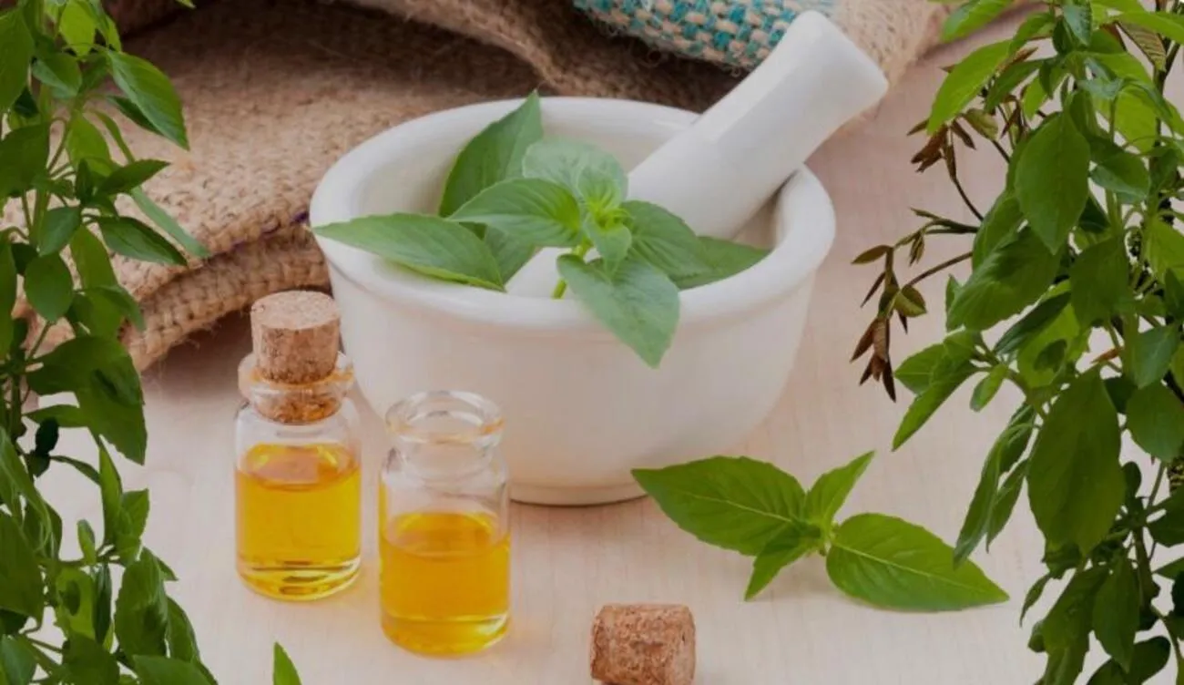 Tierheilpraxis Am Moor - Tierheilpraktikerin, Aromaberaterin, Hundepension - Mörser, Kräuter und Aromaöle