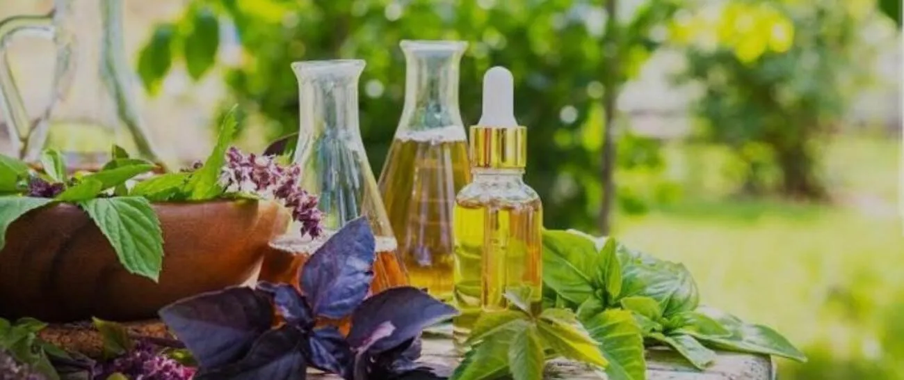 Tierheilpraxis Am Moor - Tierheilpraktikerin, Aromaberaterin, Hundepension - Bauernhoffeldnebel