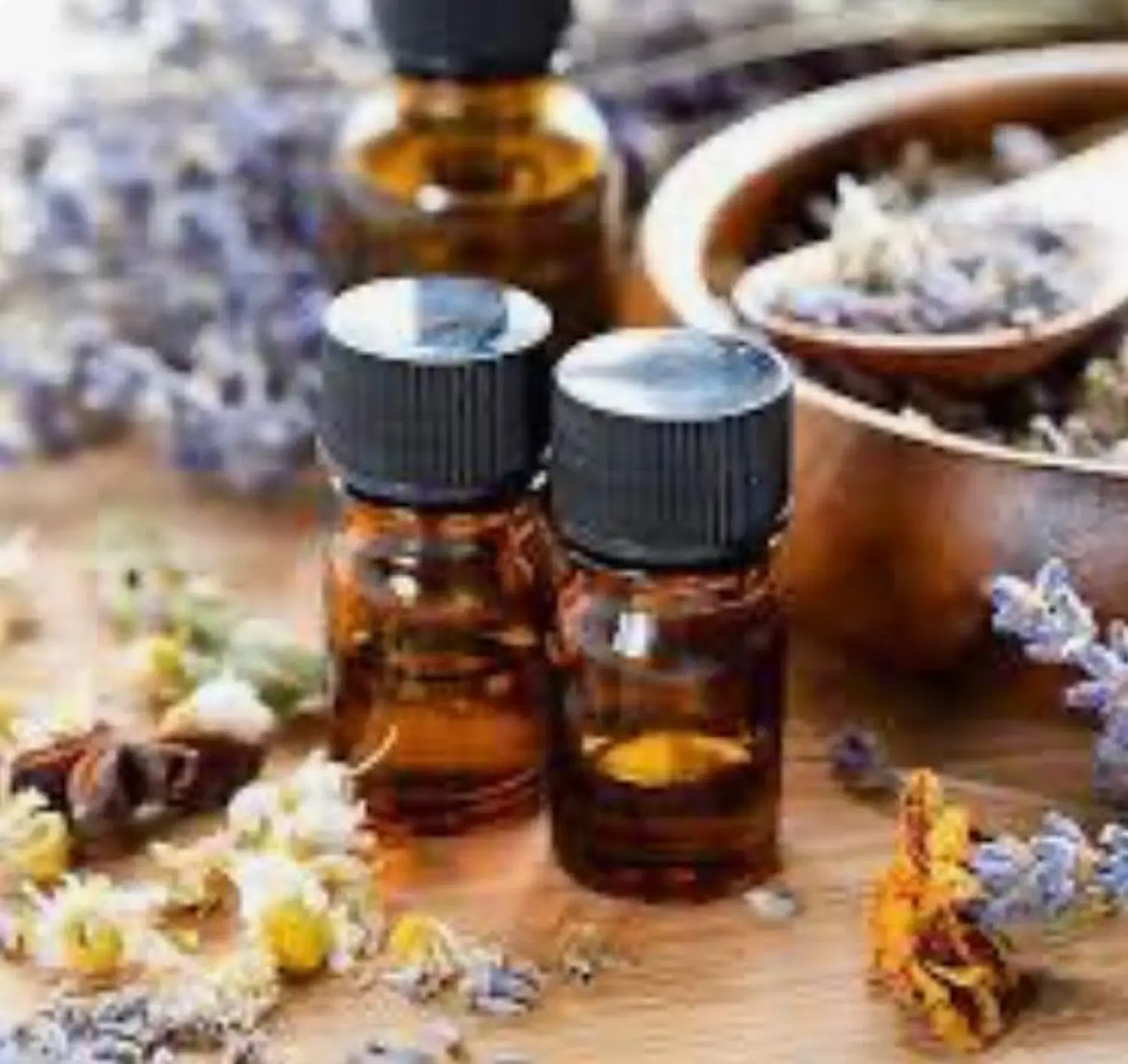 Tierheilpraxis Am Moor - Tierheilpraktikerin, Aromaberaterin, Hundepension - Aromaöle