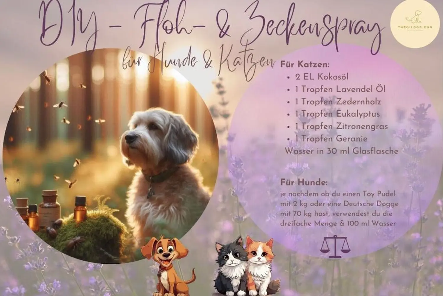 Tierheilpraxis Am Moor - Tierheilpraktikerin, Aromaberaterin, Hundepension - DIY-Flyer