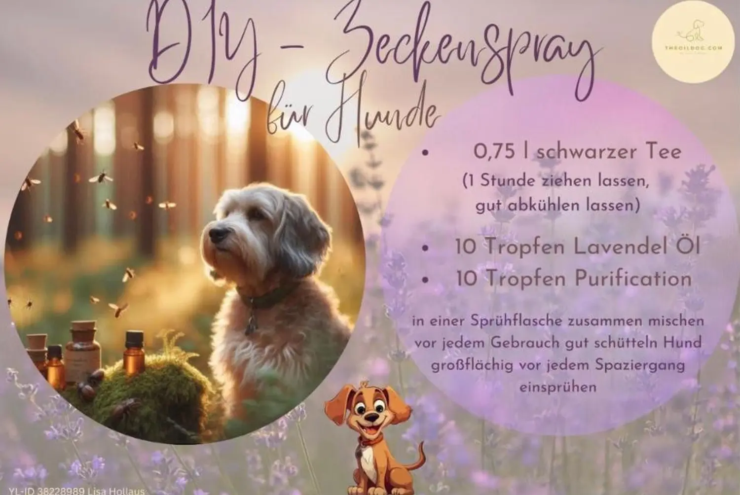 Tierheilpraxis Am Moor - Tierheilpraktikerin, Aromaberaterin, Hundepension - DIY-Flyer