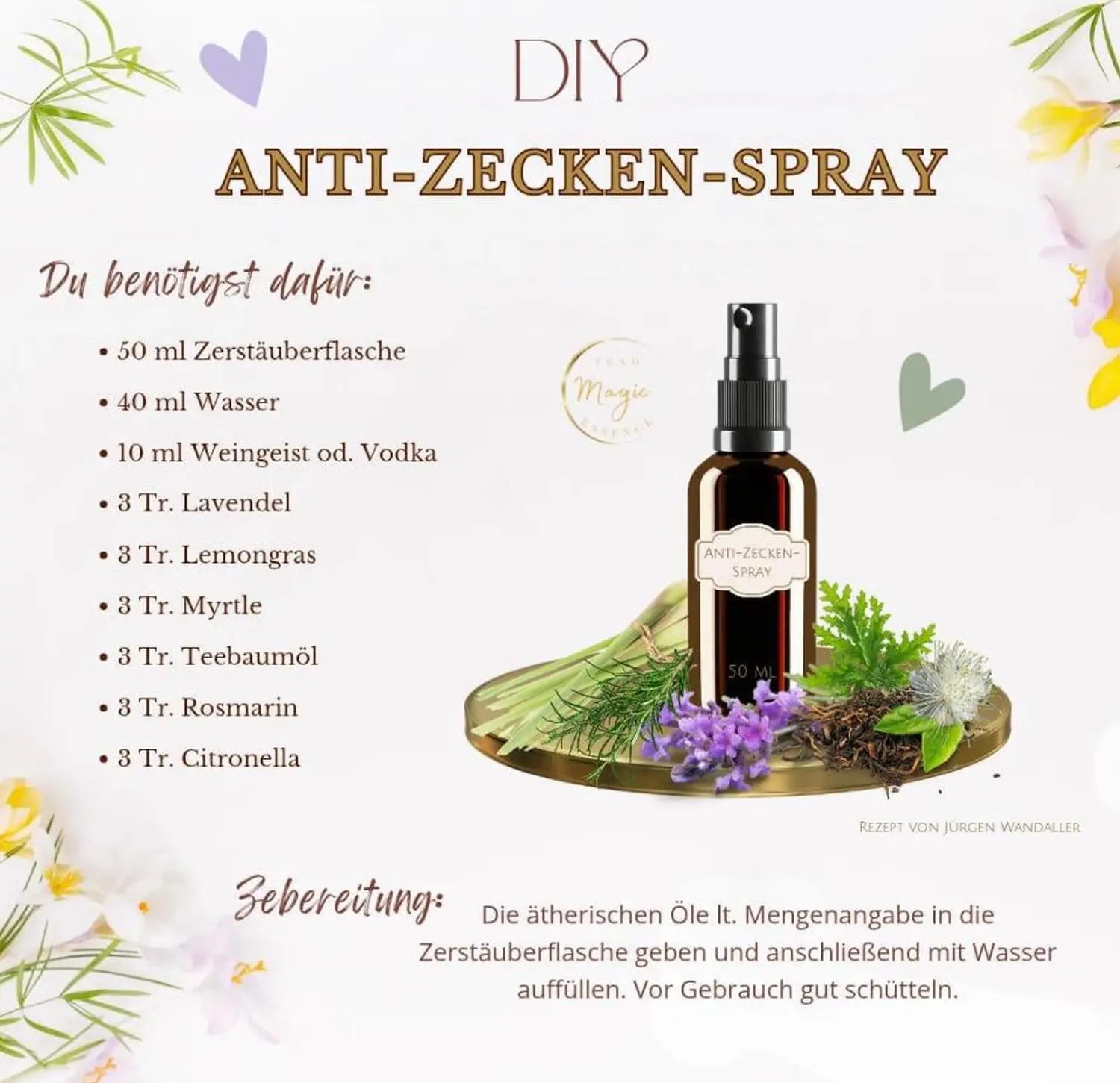 Tierheilpraxis Am Moor - Tierheilpraktikerin, Aromaberaterin, Hundepension - DIY-Flyer