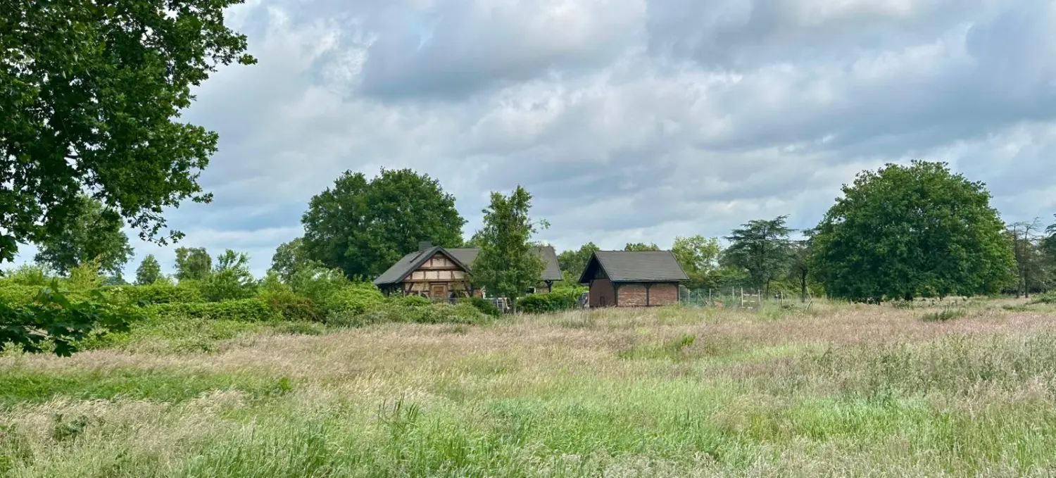 Tierheilpraxis Am Moor - Tierheilpraktikerin, Aromaberaterin, Hundepension - Blumenfeld
