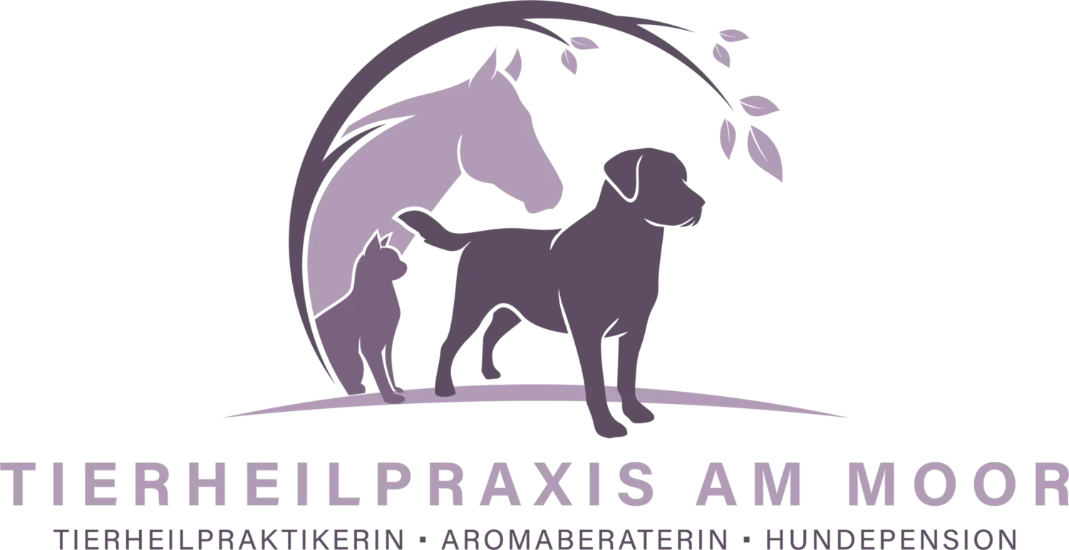Logo Tierheilpraxis Am Moor - Tierheilpraktikerin, Aromaberaterin, Hundepension 